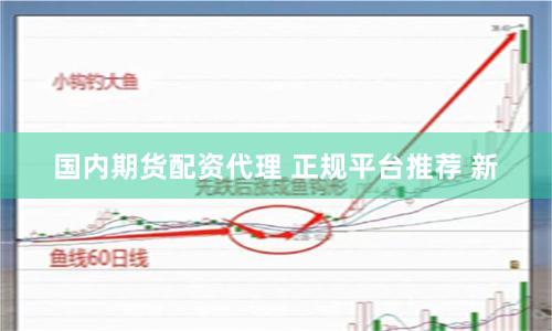 国内期货配资代理 正规平台推荐 新